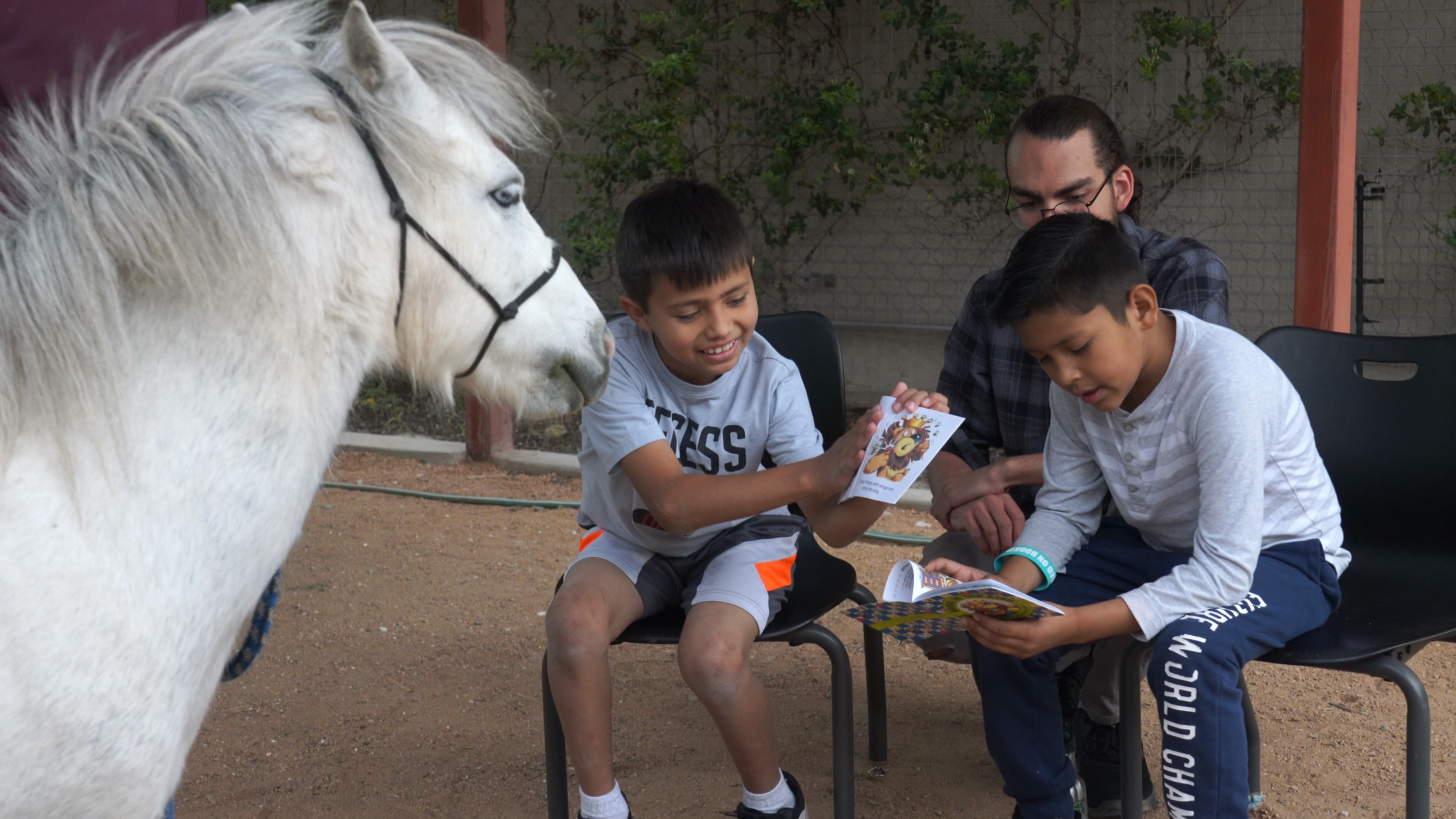 My Little Horse Listener