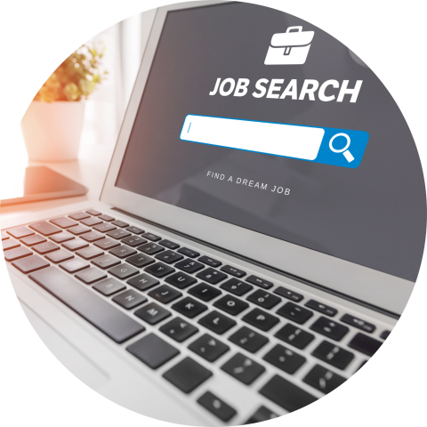 job search on laptop computer