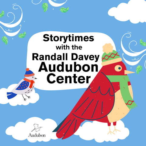 Cartoon images of two birds on clouds wearing hats and scarves