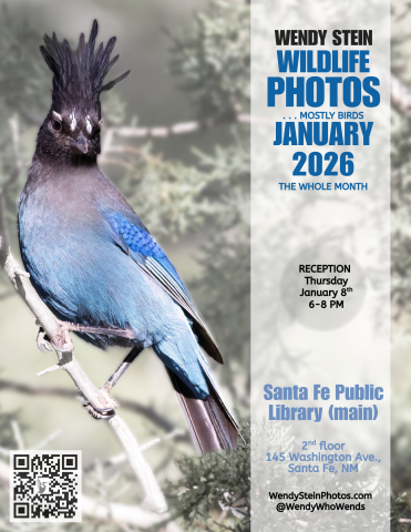 Wendy Stein Wildlife Photos Exhibit