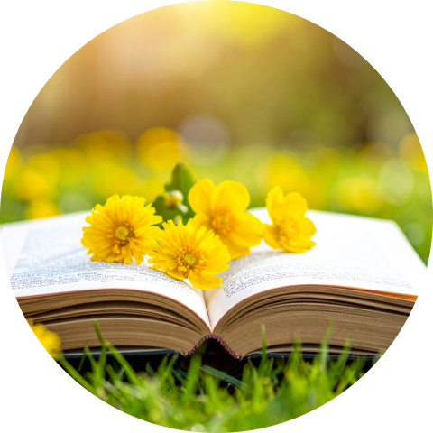 An open book with yellow flowers on its pages, set against a blurred green and yellow background of grass and sunlight.