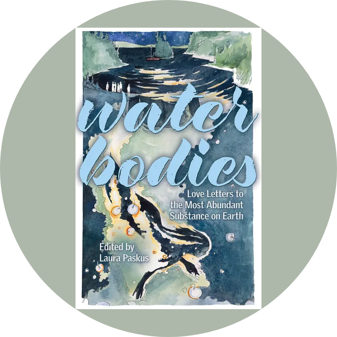 Image of Water Bodies book cover