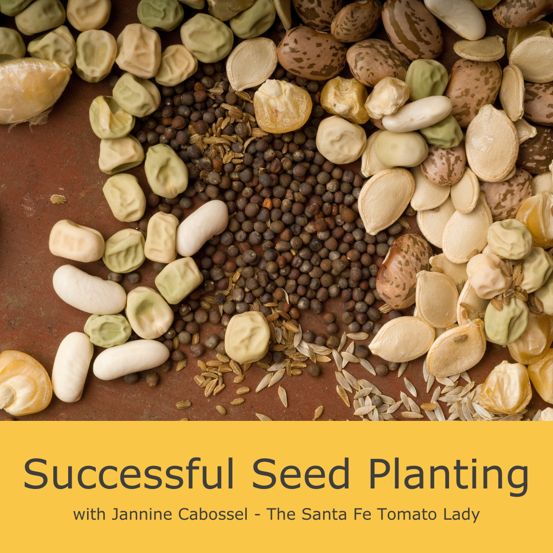 Image of a vareity of seeds with text Successful Seed Planting