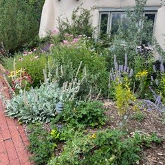A lush garden bed with a variety of flowers and greenery in front of a building with a window.